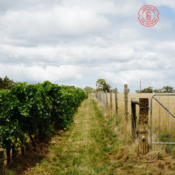 GROWERS GATE | CHARONNAY