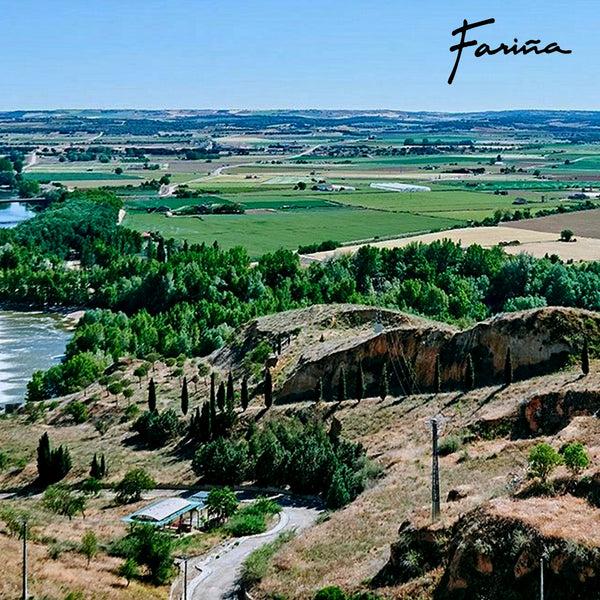 BODEGAS FARINA | GRAN COLEGIATA