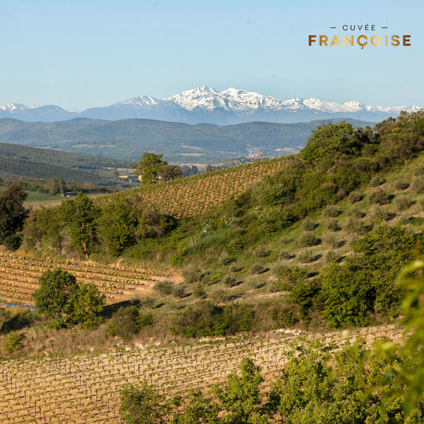 CUVÉE FRANÇOISE | CRÉMANT DE LIMOUX EXTRA BRUT