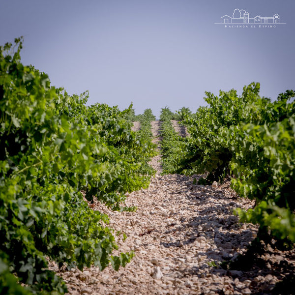 HACIENDA EL ESPINO | SELECCIÓN ESPECIAL