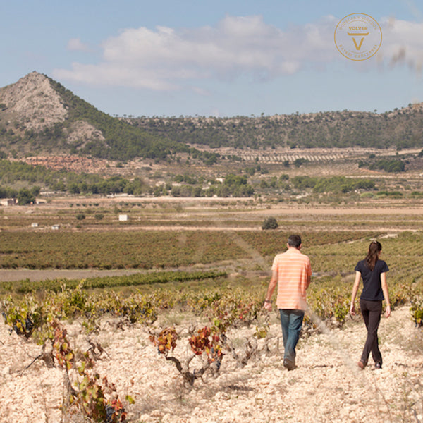 MAPA MUNDI | BRILLIANT WHITE