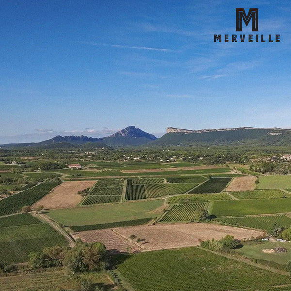 MERVEILLE | BUTTERY CHARDONNAY