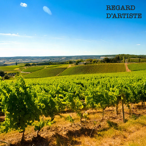 REGARD D'ARTISTE | VIN ORANGE