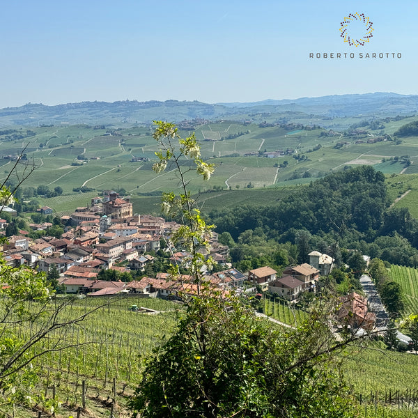 ROBERTO SAROTTO PIEMONTE | BAROLO DOCG