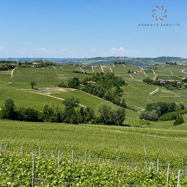 ROBERTO SAROTTO PIEMONTE | SREJ LANGHE DOC ARNEIS