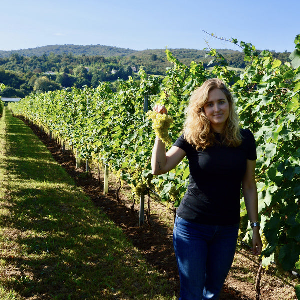 VILLA DEGLI OLMI | CORTE DEI ROVI | PROSECCO SPUMANTE EXTRA DRY