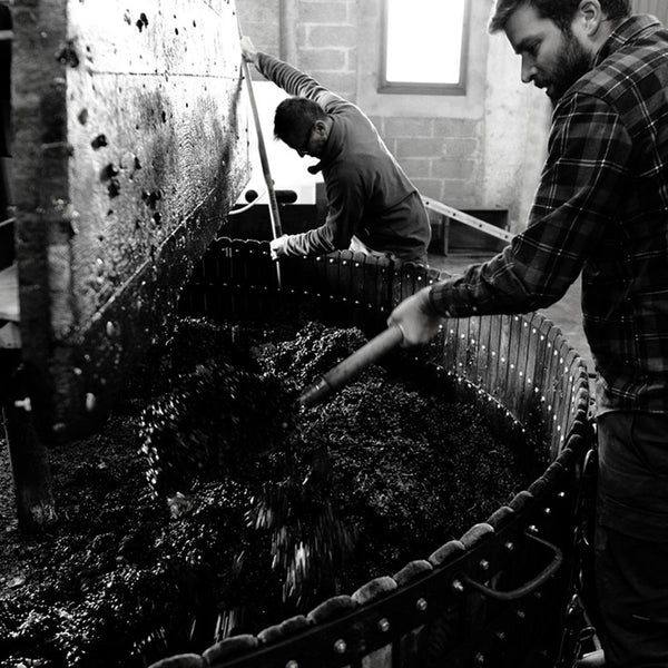 CHAMPAGNE SALMON | COLLECTION MONTGOLFIÈRE | BRUT