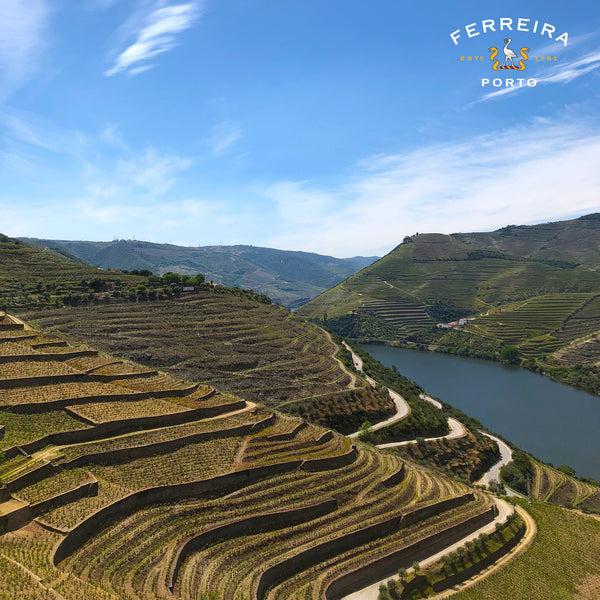 FERREIRA PORT | MINIATURE PACK 5X5CL DE LUXE