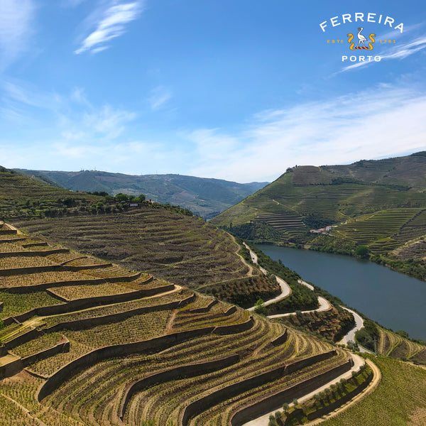 FERREIRA PORT | CLASSIC LÁGRIMA