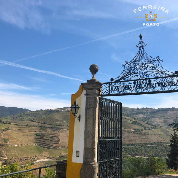 FERREIRA PORT | DONA ANTONIA RESERVA TAWNY