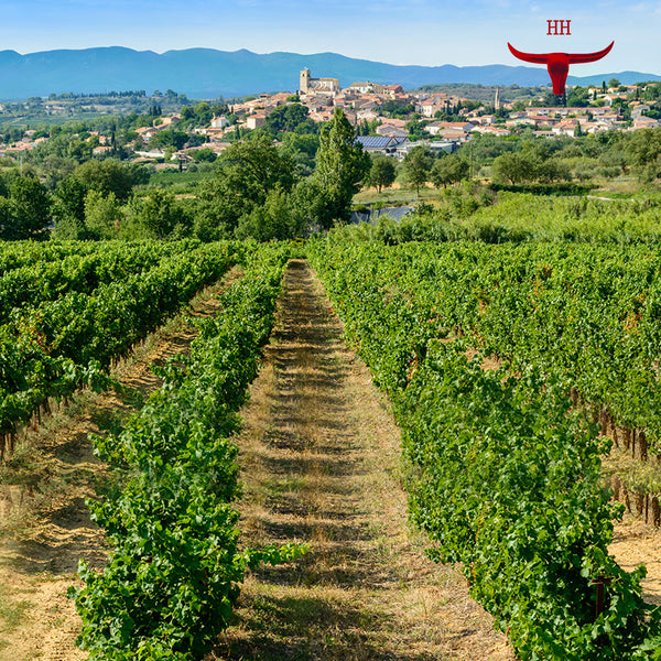 HORNHEAD WHITE | OAKED CHARDONNAY