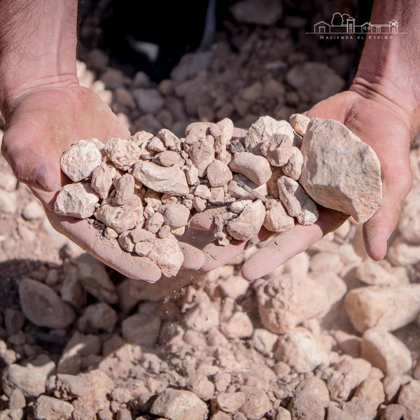 HACEINDA EL ESPINO | GARNACHA TINTORERA