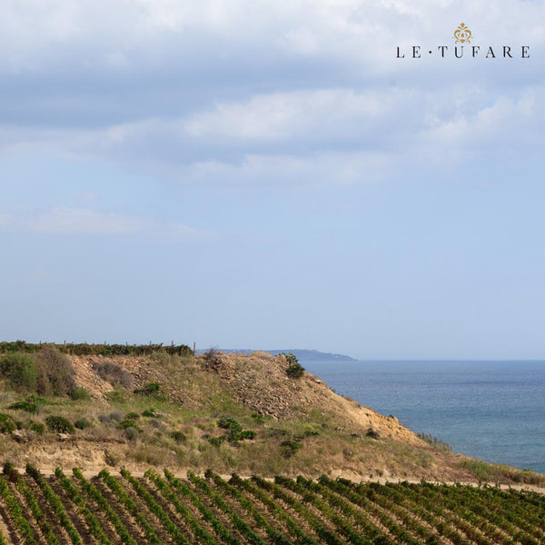 LE TUFARE | AGLIANICO