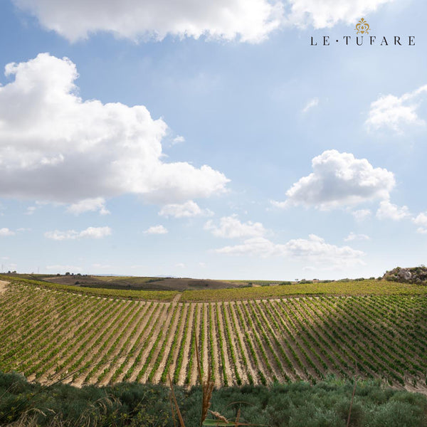 LE TUFARE | PINOT GRIGIO