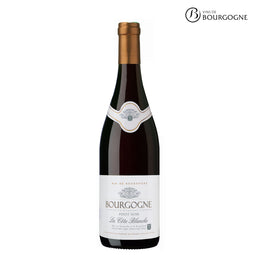 LA CÔTE BLANCHE | BOURGOGNE PINOT NOIR LA CÔTE BLANCHE | BOURGOGNE PINOT NOIR