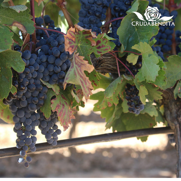 CRUDABENDITA | RIBERA DEL DUERO RESERVA