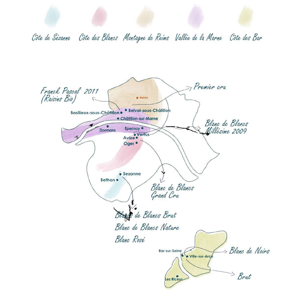CHAMPAGNE EPC | BLANC DE BLANCS BRUT