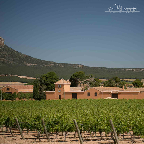HACIENDA EL ESPINO | CHARDONNAY BARRICA