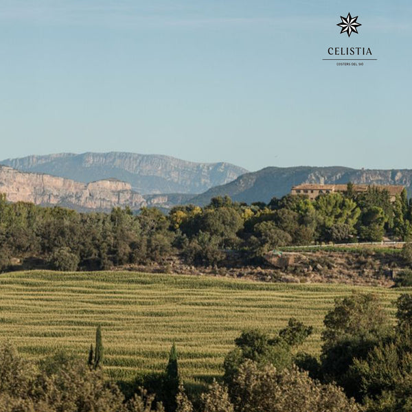 CELISTIA BLANC | VIOGNIER - MACABEO