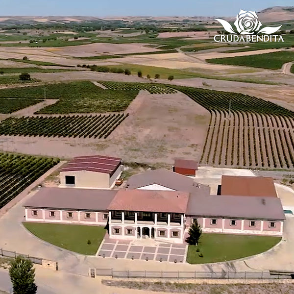 CRUDABENDITA | RIBERA DEL DUERO GRAN RESERVA