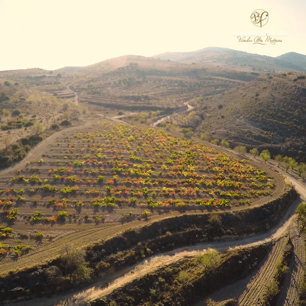 LA FORCADA | GARNACHA ROBLE