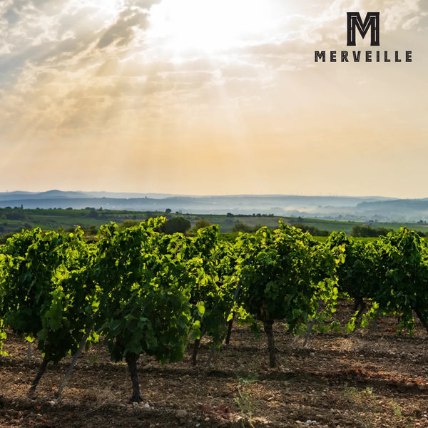 MERVEILLE | DOUBLE BLACK CABERNET RESERVE