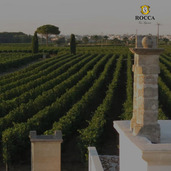 ROCCA | GRANDE PASSOLO CHARDONNAY