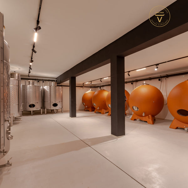 VOLVER | SINGLE VINEYARD MACABEO TINAJA