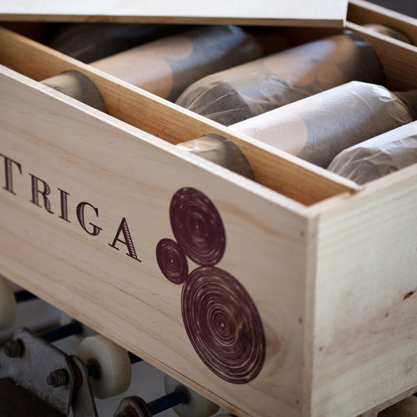 TRIGA | TINTO