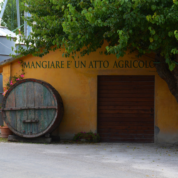 MASSERIA COLLEONE | PRIMITIVO SALENTO