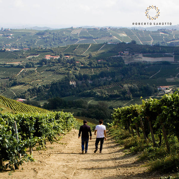 ROBERTO SAROTTO PIEMONTE | LANGHE DOC NEBBIOLO 'NATIVO'