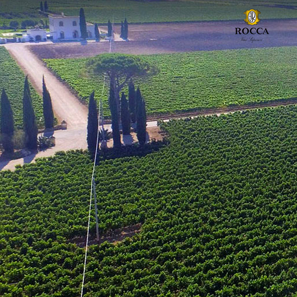 ROCCA | ZINFANDEL