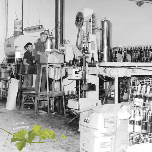 THAT'S WHY! ORIGINAL | VINO BIANCO PREMIUM