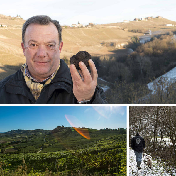 TRUFFLE HUNTER LEDA | PIEMONTE BIANCO