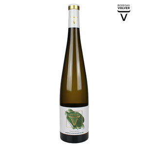 VOLVER | SINGLE VINEYARD VERDEJO & SAUVIGNON BLANC